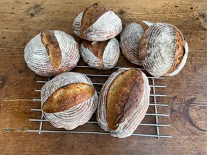 24hr Sourdough