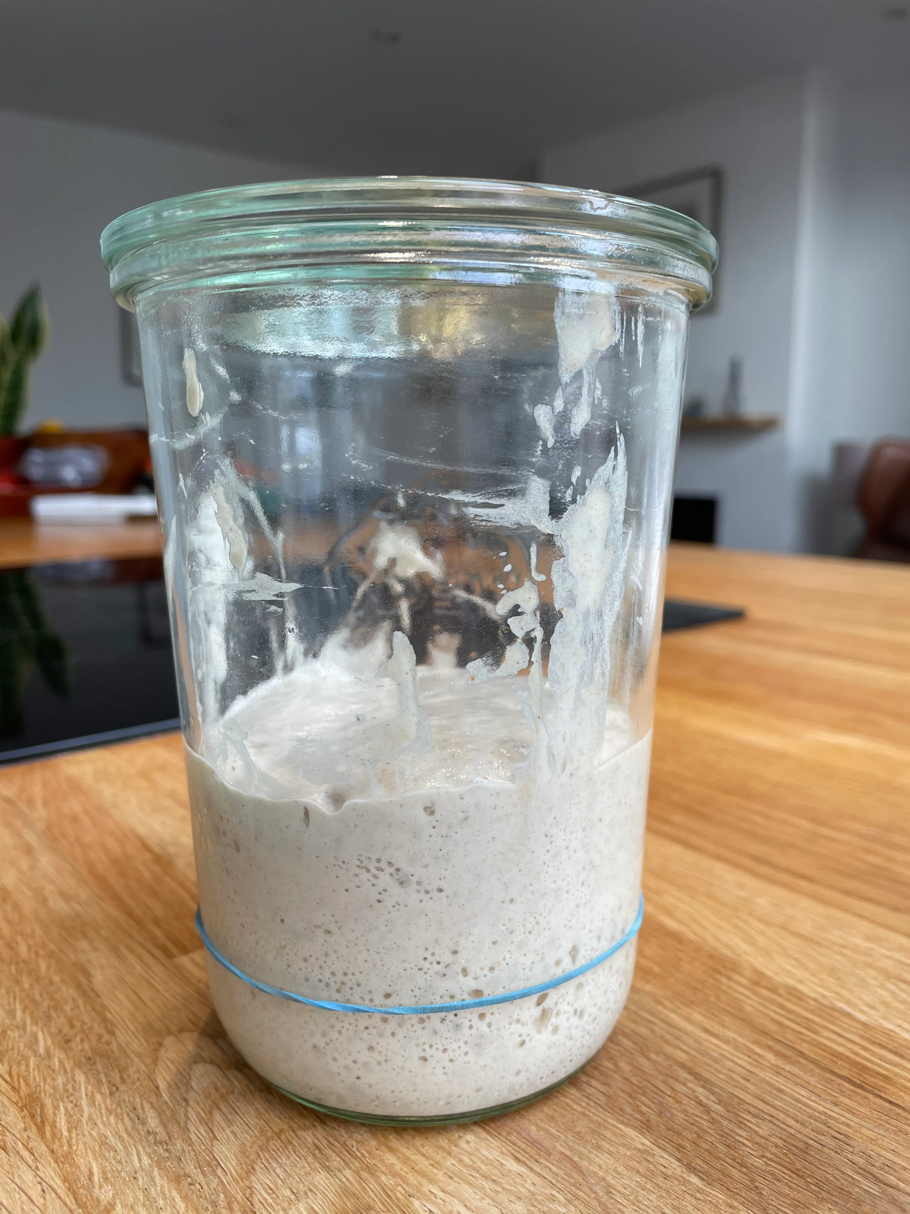 The ripe sourdough starter ready to use. The blue band shows the height of the mix when fed the night before.