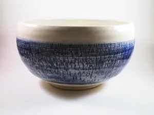 Sodium Silicate Bowl